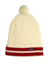 Load image into Gallery viewer, Delaine merino wool beanie