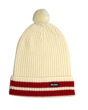 Load image into Gallery viewer, Delaine merino wool beanie
